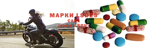 ПСИЛОЦИБИНОВЫЕ ГРИБЫ Верея