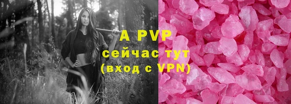 ПСИЛОЦИБИНОВЫЕ ГРИБЫ Верея