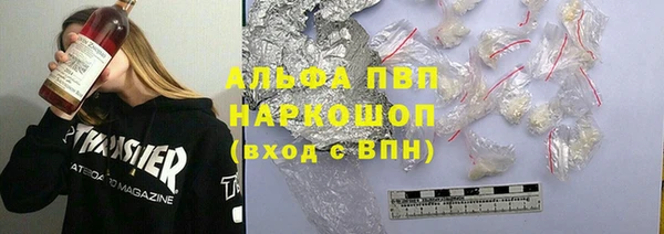 ПСИЛОЦИБИНОВЫЕ ГРИБЫ Верея