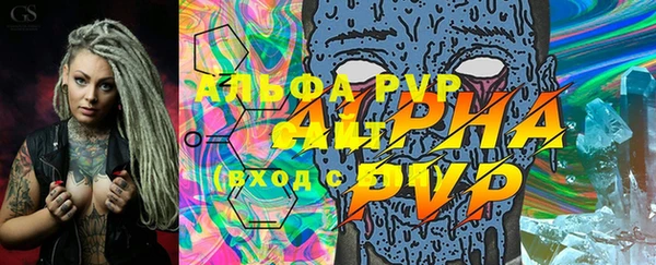 ПСИЛОЦИБИНОВЫЕ ГРИБЫ Верея